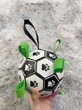 Lovely Paw Interactive Dog Football Toy-4