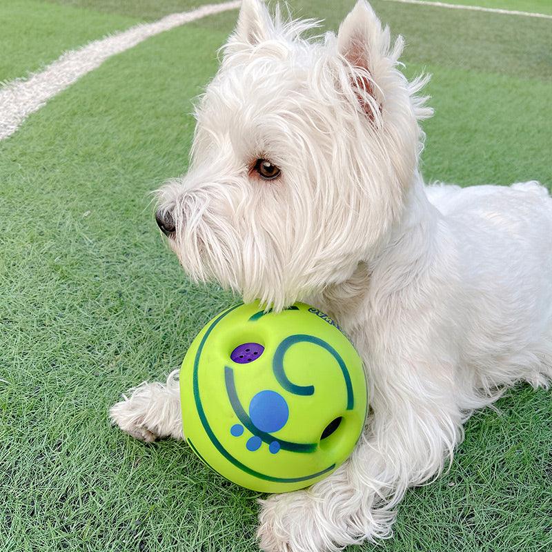 Lovely Paw Interactive Dog Football Toy-1