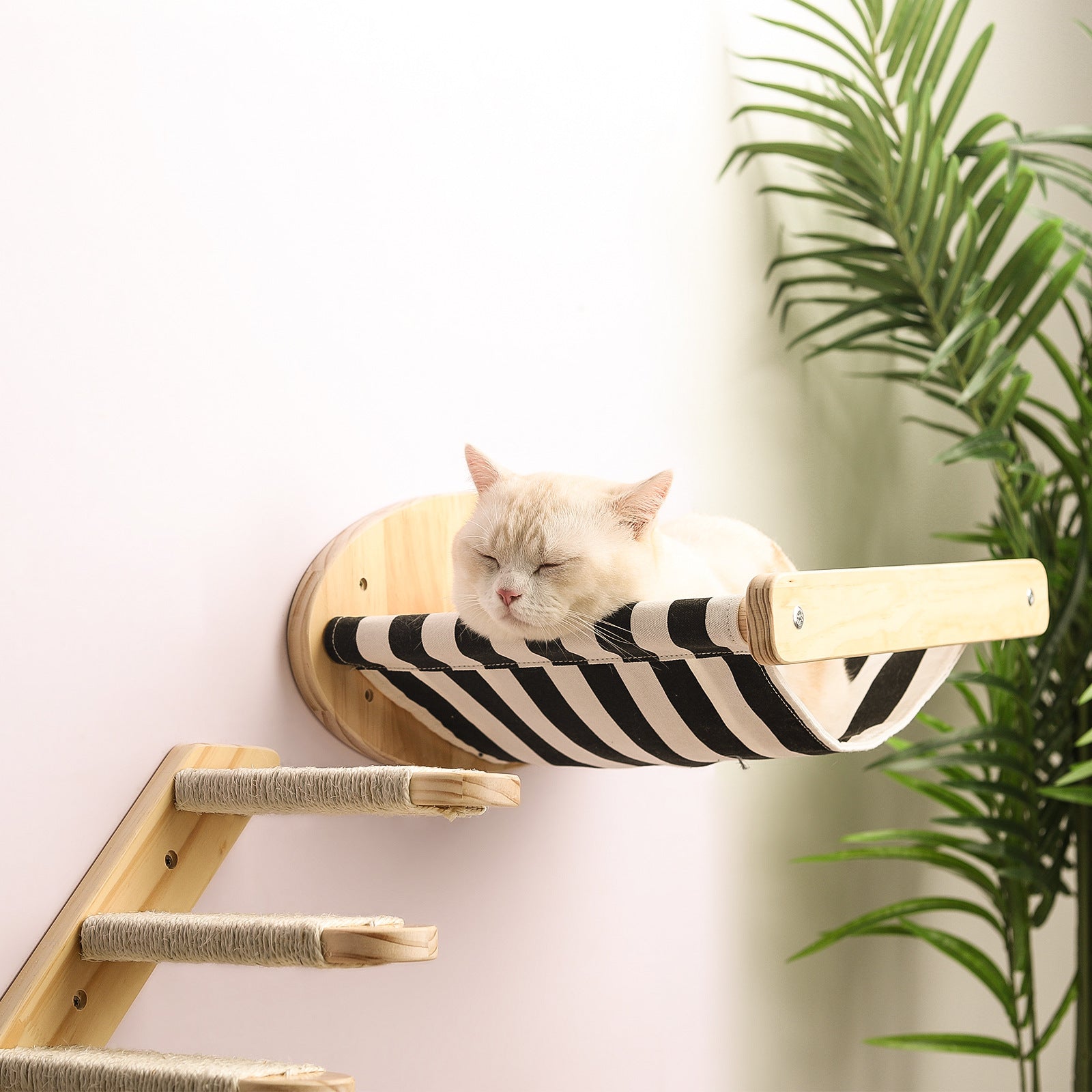 Hamac et plateformes pour chat en bois massif - installation murale