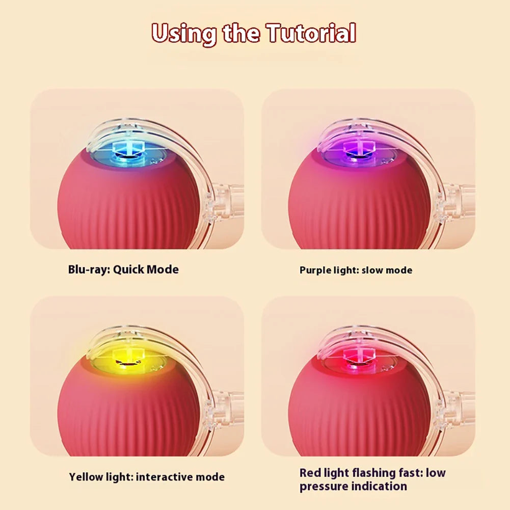 Jouet Interactif Intelligent Rechargeable pour Chiens et Chats-2