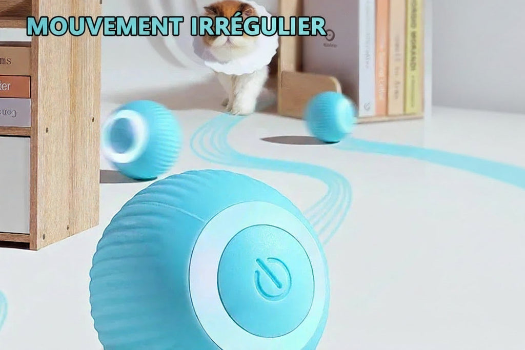 Chat jouant avec la balle interactive électrique - stimulation des instincts naturels