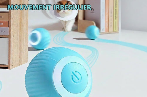 Chat jouant avec la balle interactive électrique - stimulation des instincts naturels